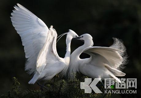 �Գ��M��呟�